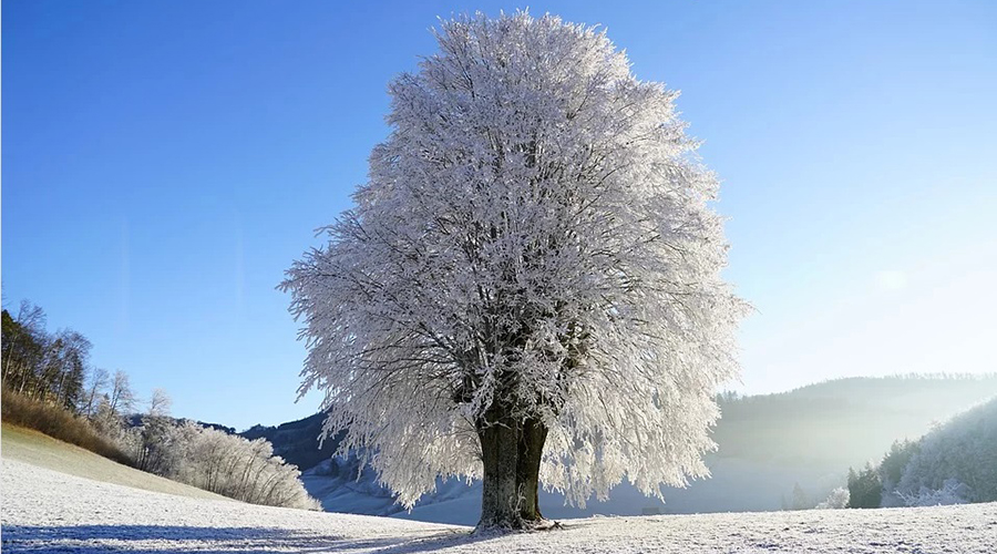 Prognoza Meteo 3 Decembrie 2019 Meteorologii Au AnunÈ›at O NouÄƒ RÄƒcire A Vremii In Ce Zone Va Ninge