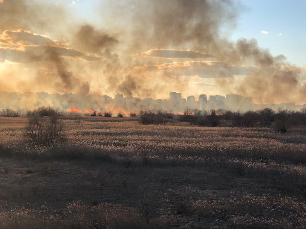 Incendiu devastator în Delta Văcărești pe o suprafață de 20.000 de metri pătrați VIDEO