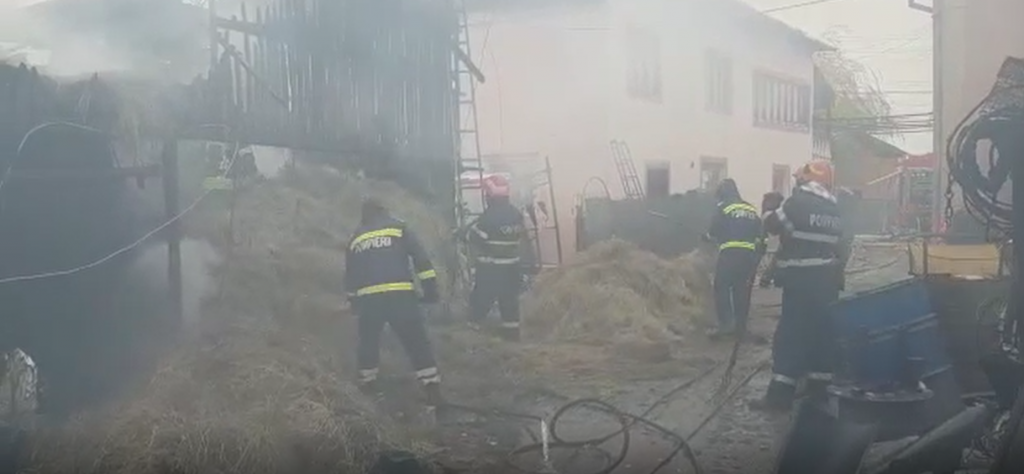 Incendiu violent la un adăpost de animale din Argeș. Zeci de porci au fost carbonizați