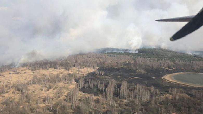 Incendiu de proporții în pădurea de lângă centrala nucleară Cernobîl. Nivel crescut de radiații