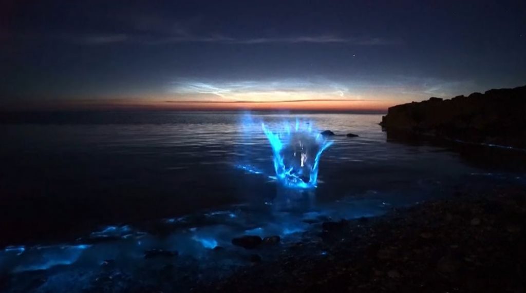 Cel mai spectaculos fenomen natural al Paștelui. Cum arată apa mării când ia foc. VIDEO