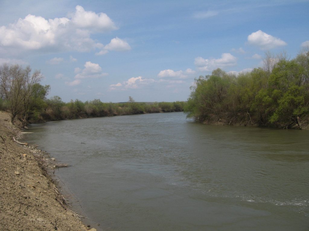 Tragedie în Vaslui! Un cioban de 36 de ani, găsit înecat în Prut cu tot cu cal și căruță