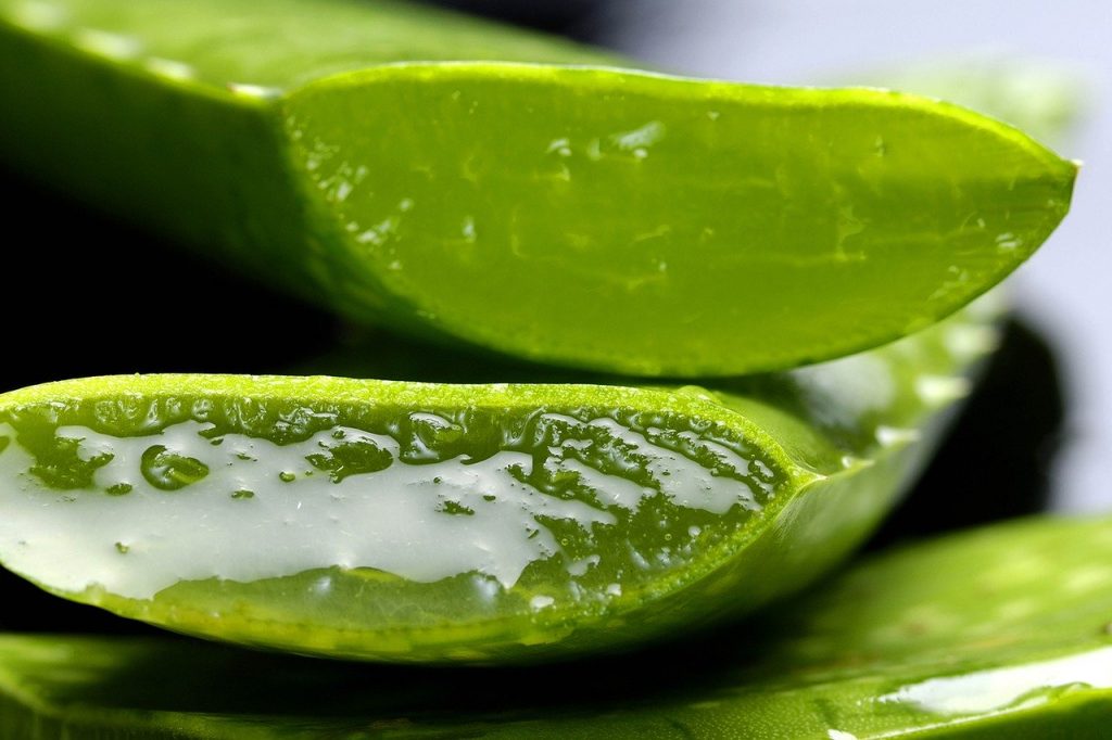 Te-a ars soarele? Aloe Vera, cel mai bun remediu împotriva arsurilor de la plajă. Iată cum se foloseşte