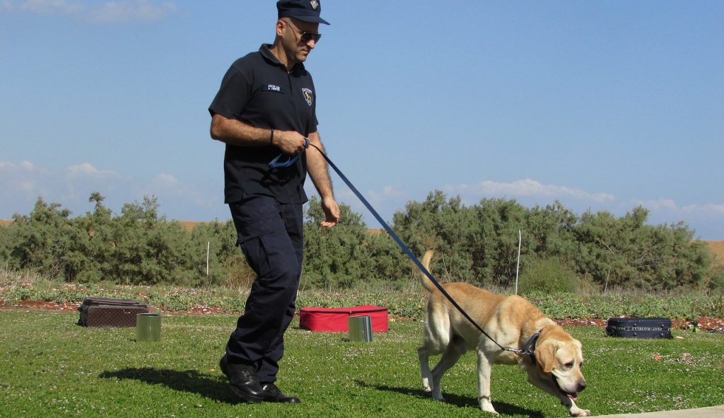 Armata germană antrenează câini pentru a detecta persoanele infectate cu coronavirus