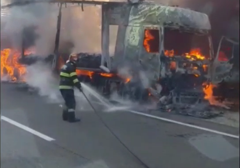 A luat foc pădurea din Giurgiu! Totul a pornit de la un camion VIDEO