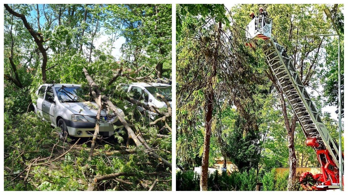 Codul galben a făcut ravagii în România. Copaci prăbușiți, drumuri blocate și mașini avariate. FOTO