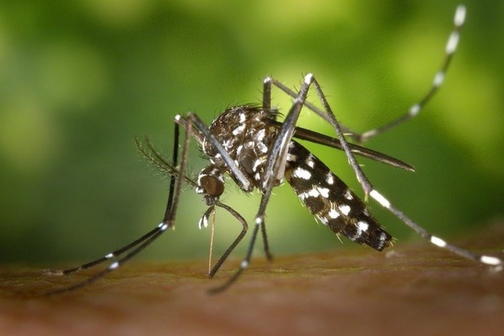 A fost înregistrat primul deces din România provocat de virusul West Nile. Au fost confirmate alte 3 cazuri