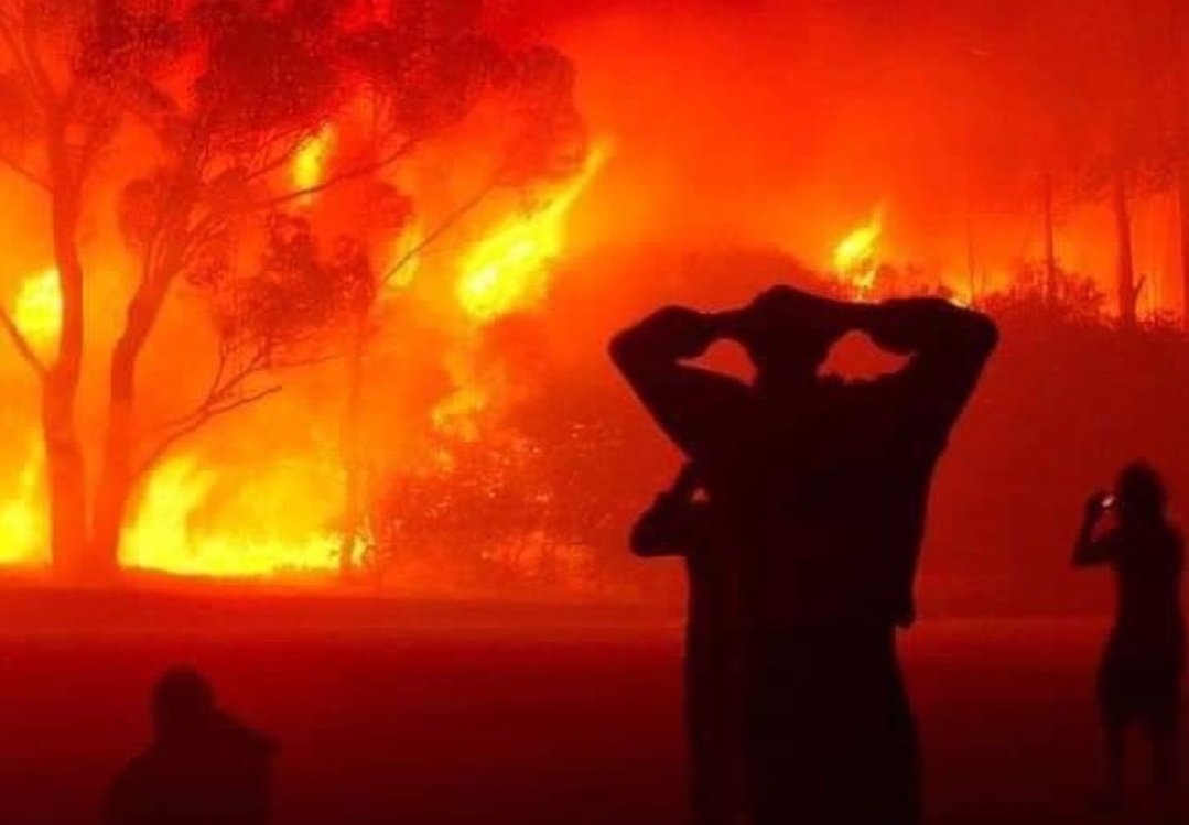 Record al emisiilor de carbon, după incendiile masive din această vară