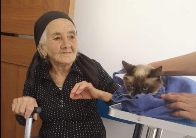 Gestul emoţionant al unei bătrâne. Cum a fost surprinsă bunica alături de pisica ei