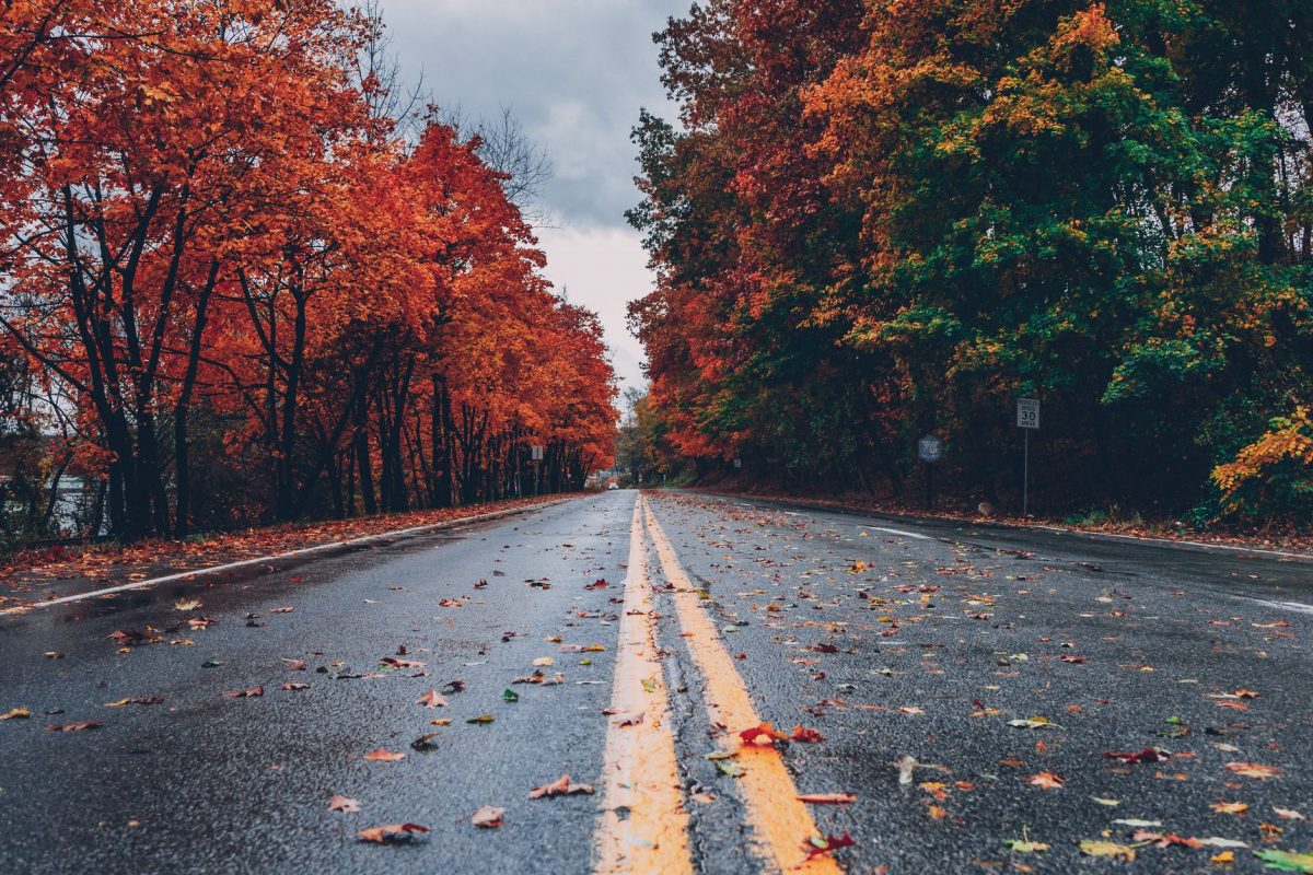 Vremea în următoarele patru săptămâni. Când vine toamna în România