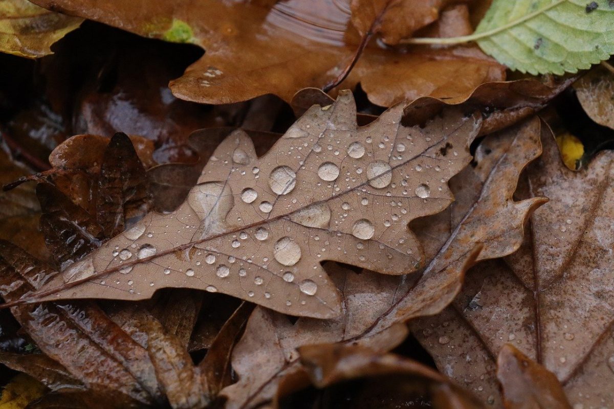 Meteo România, 1 Decembrie 2021. Cod galben și cod portocaliu de vreme rea în mai multe zone ale țării