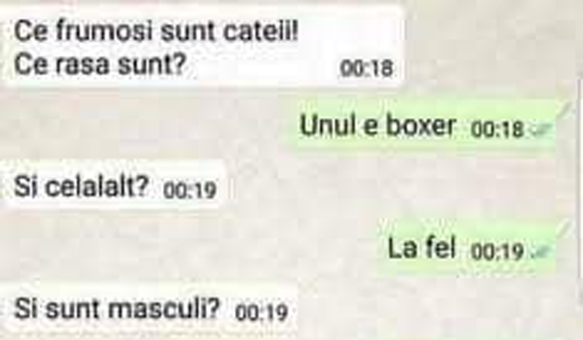 BANCUL ZILEI | „Ce frumoși sunt cățeii. Ce rasă sunt?”