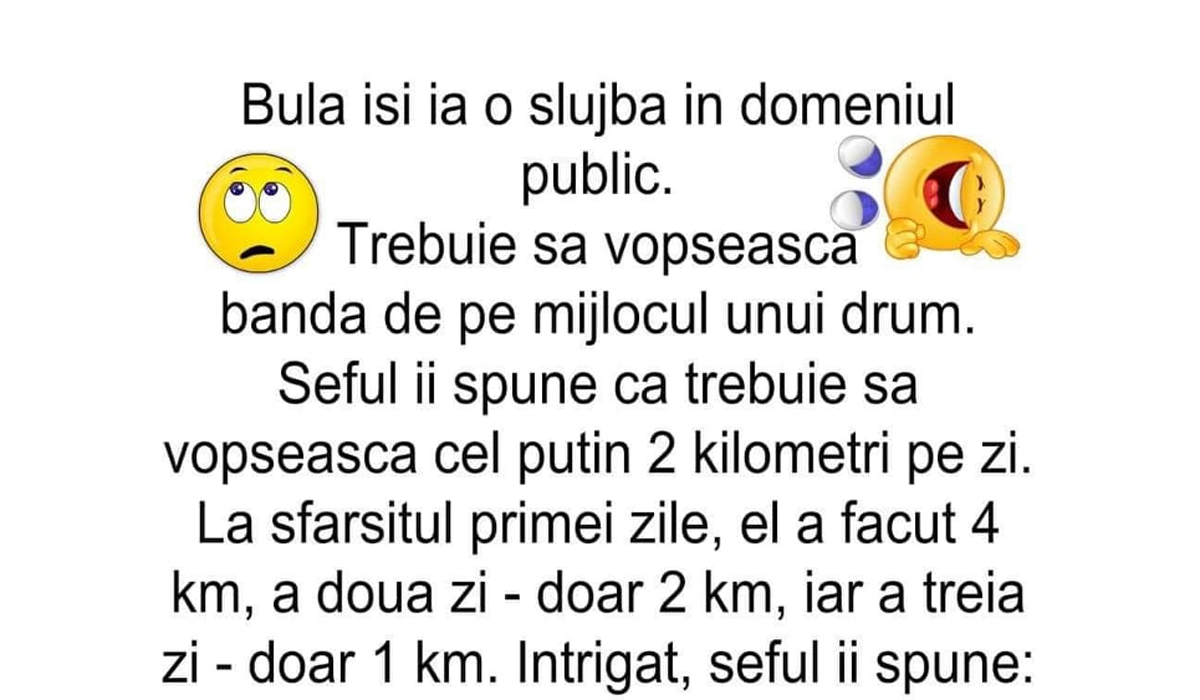 BANC | Bulă își ia o slujbă în domeniul public. Trebuie să vopsească banda de pe mijlocul unui drum