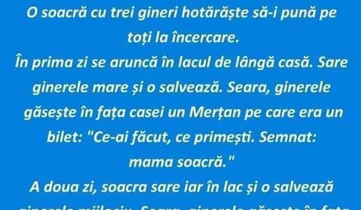 BANCUL ZILEI | O soacră cu 3 gineri hotărăște să-i pună pe toți la încercare