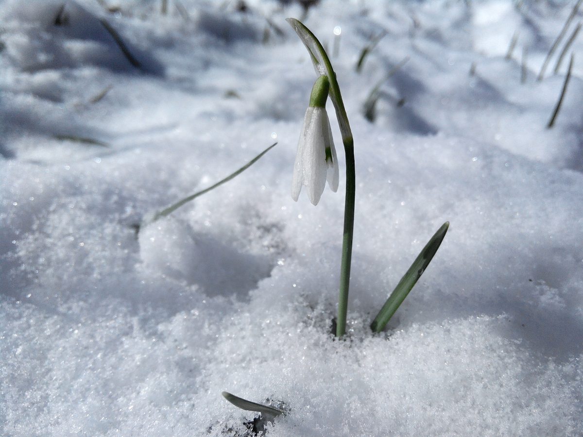 Val de aer polar peste România! Temperaturi extrem de scăzute în primele zile de primăvară