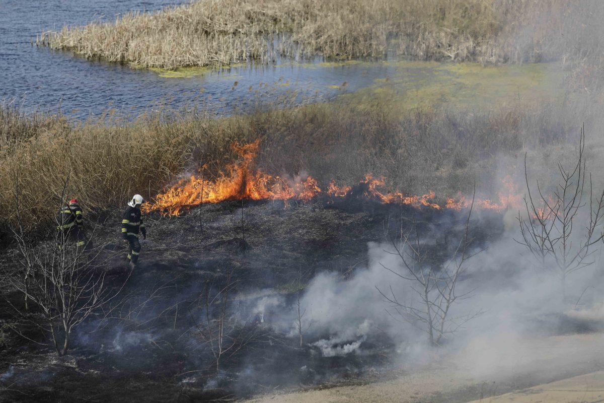 Mesajul RO-Alert transmis în urmă cu puțin timp: „Dacă sunteţi în apropiere, evacuaţi zona!”