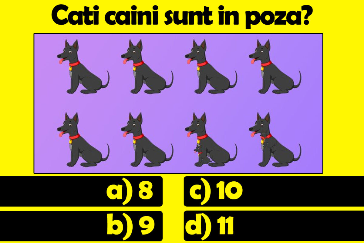 Testul IQ la care 8 din 10 greșesc | Câți câini sunt în această poză: 8, 9, 10 sau 11?