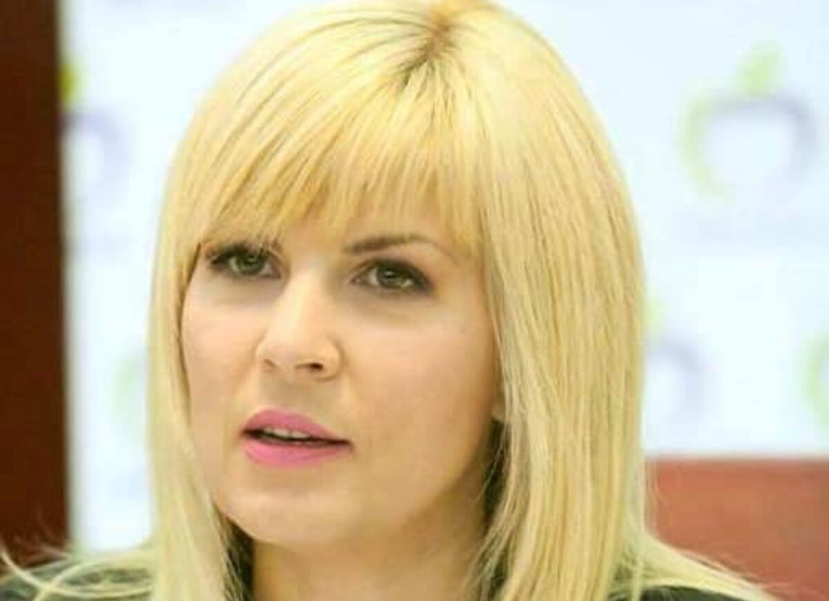 Elena Udrea ar putea ieși din închisoare! Ce spune avocatul fostului ministru