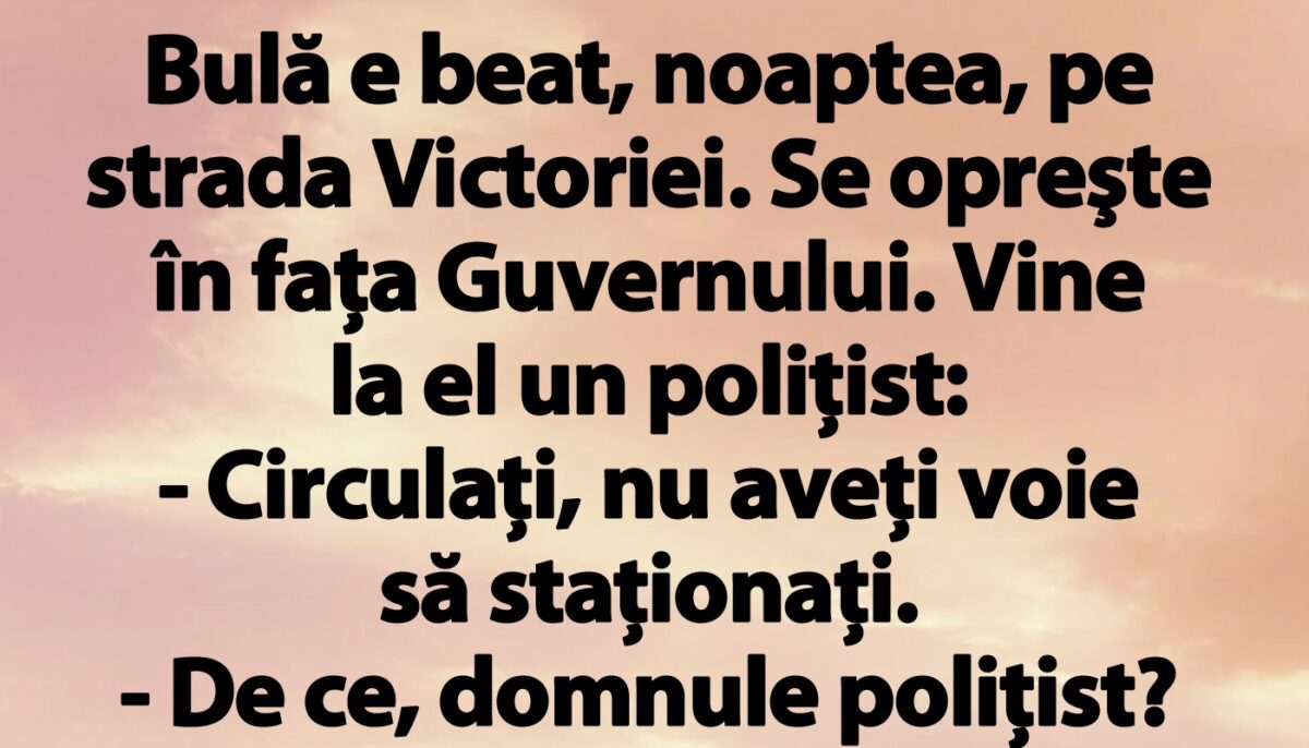 BANC | Bulă e beat, noaptea, pe strada Victoriei. Se opreşte în faţa Guvernului