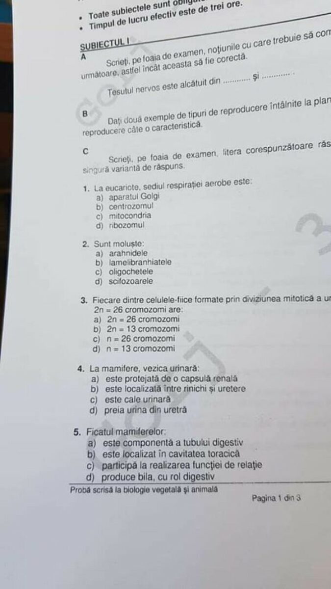 Bacalaureat 2022 | Rezolvarea subiectelor la biologie, a treia probă de la BAC