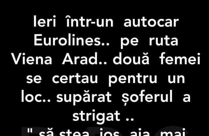 BANC | Ieri, într-un autocar pe ruta Viena – Arad, două femei se certau pe un loc