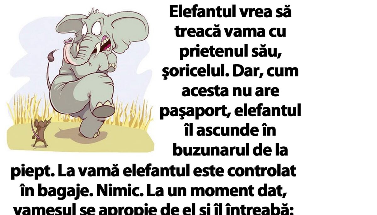 BANC | Elefantul vrea să treacă vama cu prietenul său, şoricelul