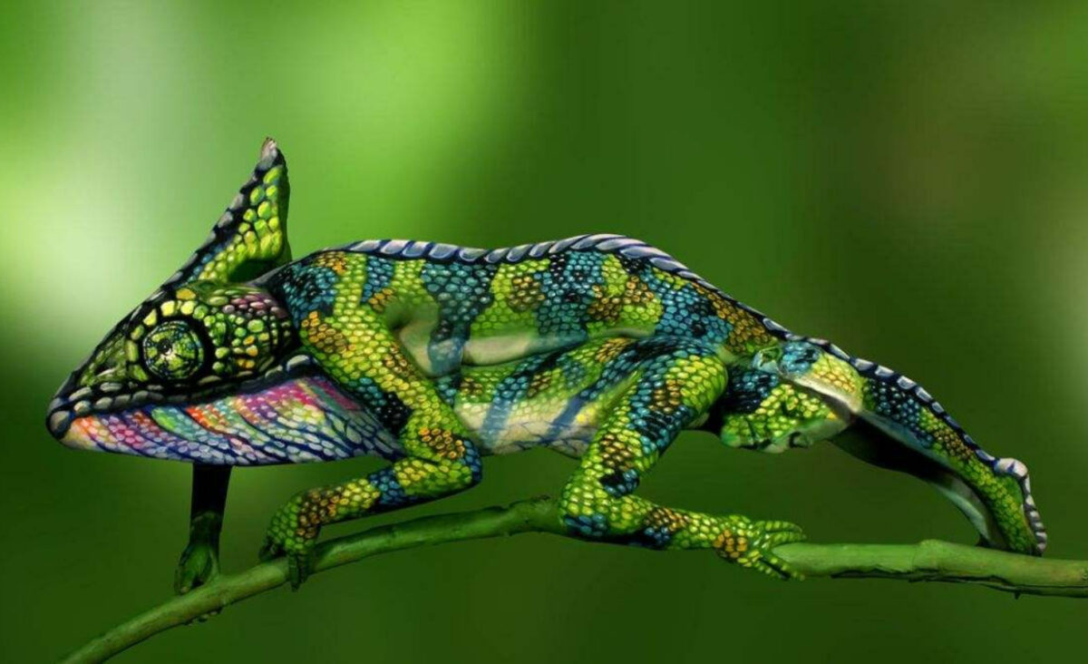 Iluzie optică de weekend! Doar cei mai inteligenţi oameni pot observa două femei atunci când se uită la această iguană