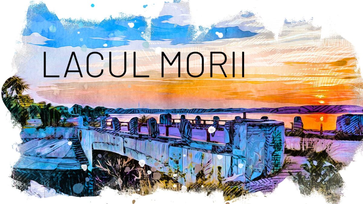 Lacul Morii, la aproape cinci secole de existență. Povestea neștiută a celui mai mare lac din București