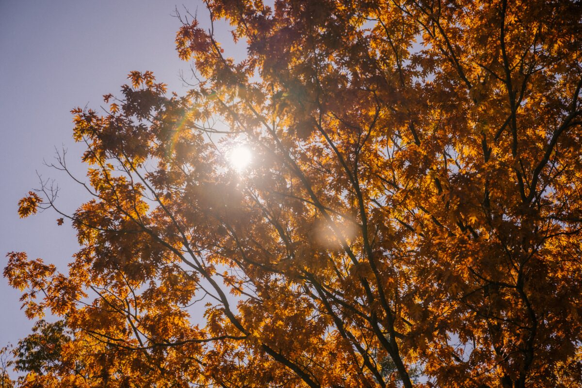 Vremea se răcește în întreaga țară! Prognoza meteo până la jumătatea lunii septembrie