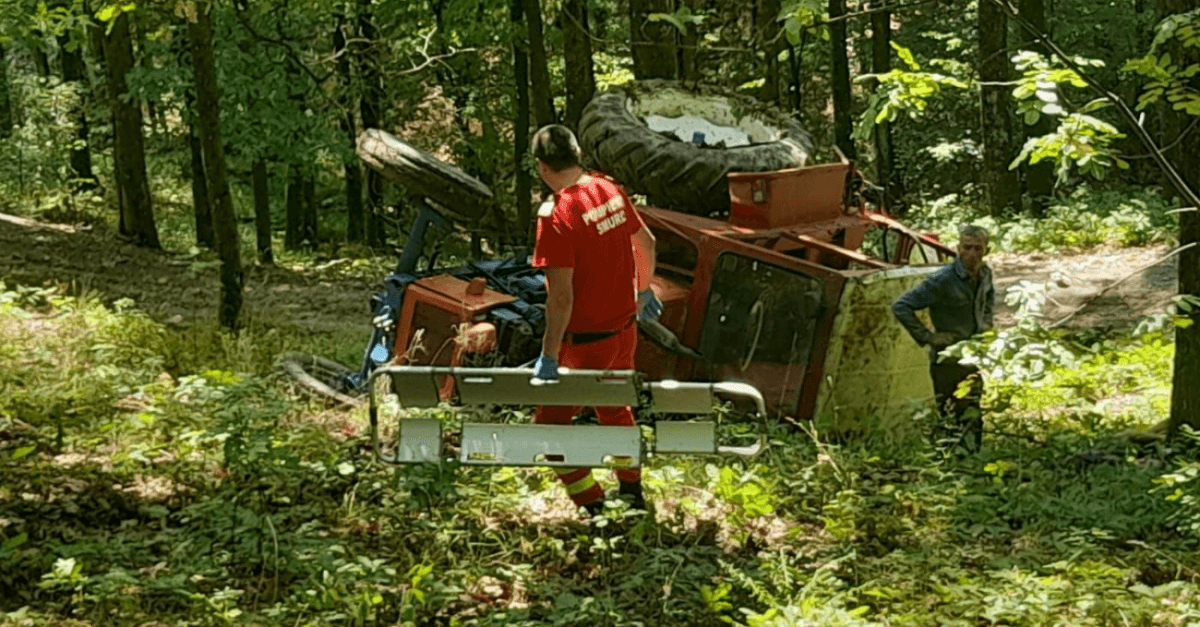 Un bărbat a murit în timp ce tăia un copac în pădure. Cum s-a întâmplat nenorocirea