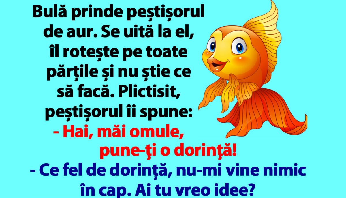 BANC | Bulă prinde peștișorul de aur: „Hai, măi omule, pune-ți o dorință!”