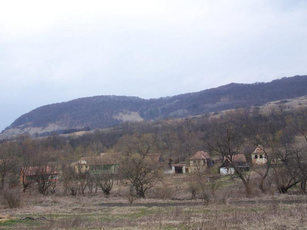 Satul din România în care nu s-a născut niciun copil timp de 47 de ani. Câți localnici există acolo
