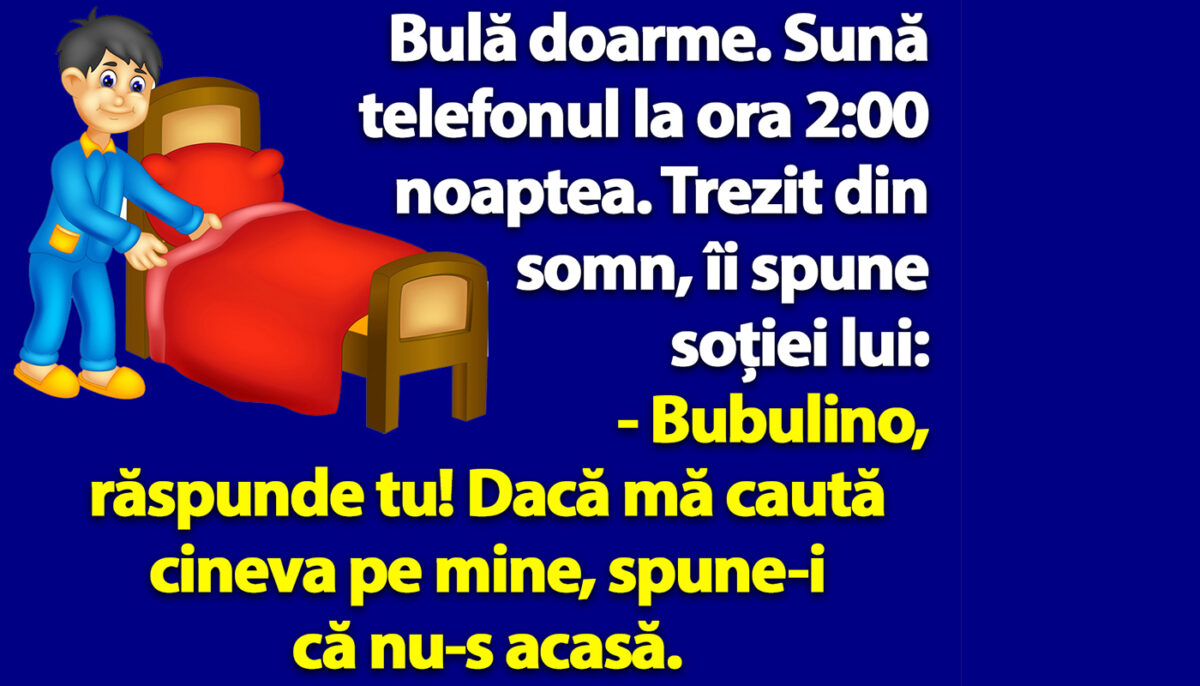 BANC | Bulă doarme. Sună telefonul la ora 2:00 noaptea