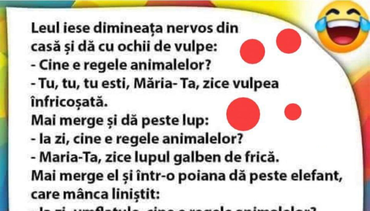 BANCUL ZILEI | Leul iese dimineața, nervos: „Cine e regele animalelor?”