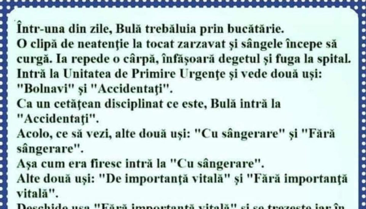 BANC | Într-o zi, Bulă trebăluia prin bucătărie