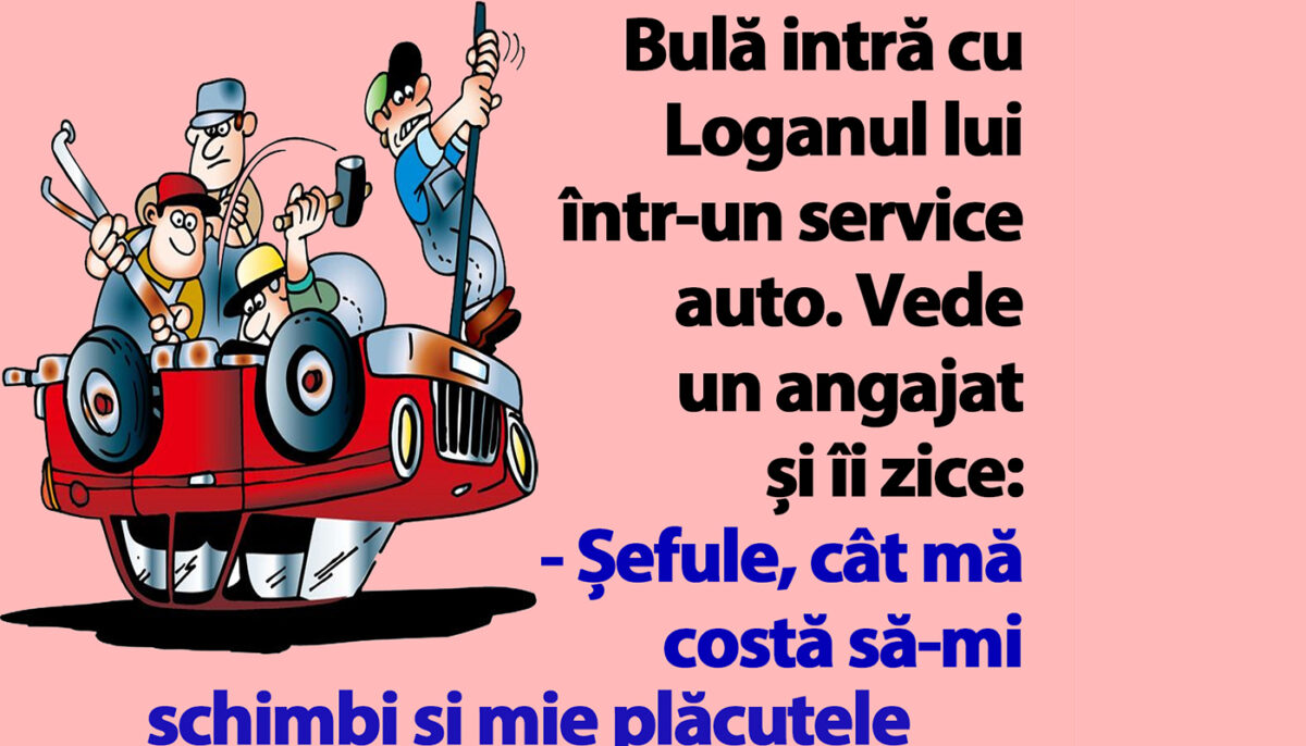 BANC | Bulă intră cu Loganul în service: „Șefule, cât mă costă să-mi schimbi plăcuțele de frână?”