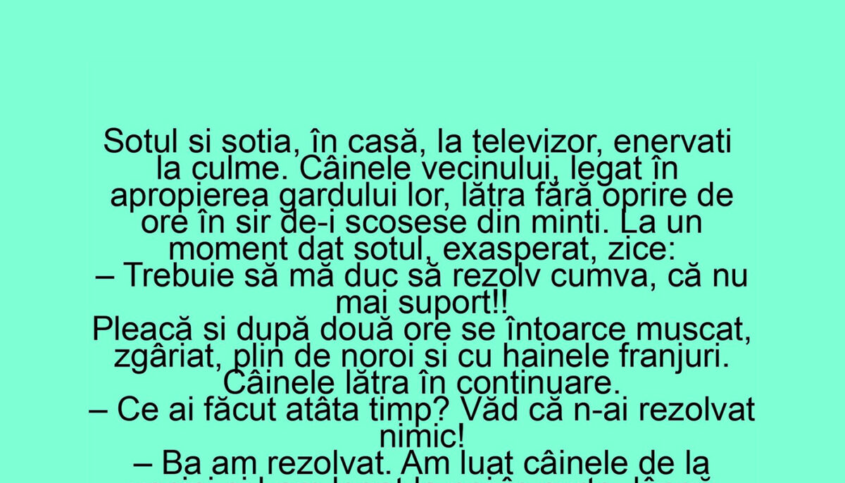 BANC | Soțul și nevasta stau în casă, la televizor, enervați la culme de câinele vecinilor