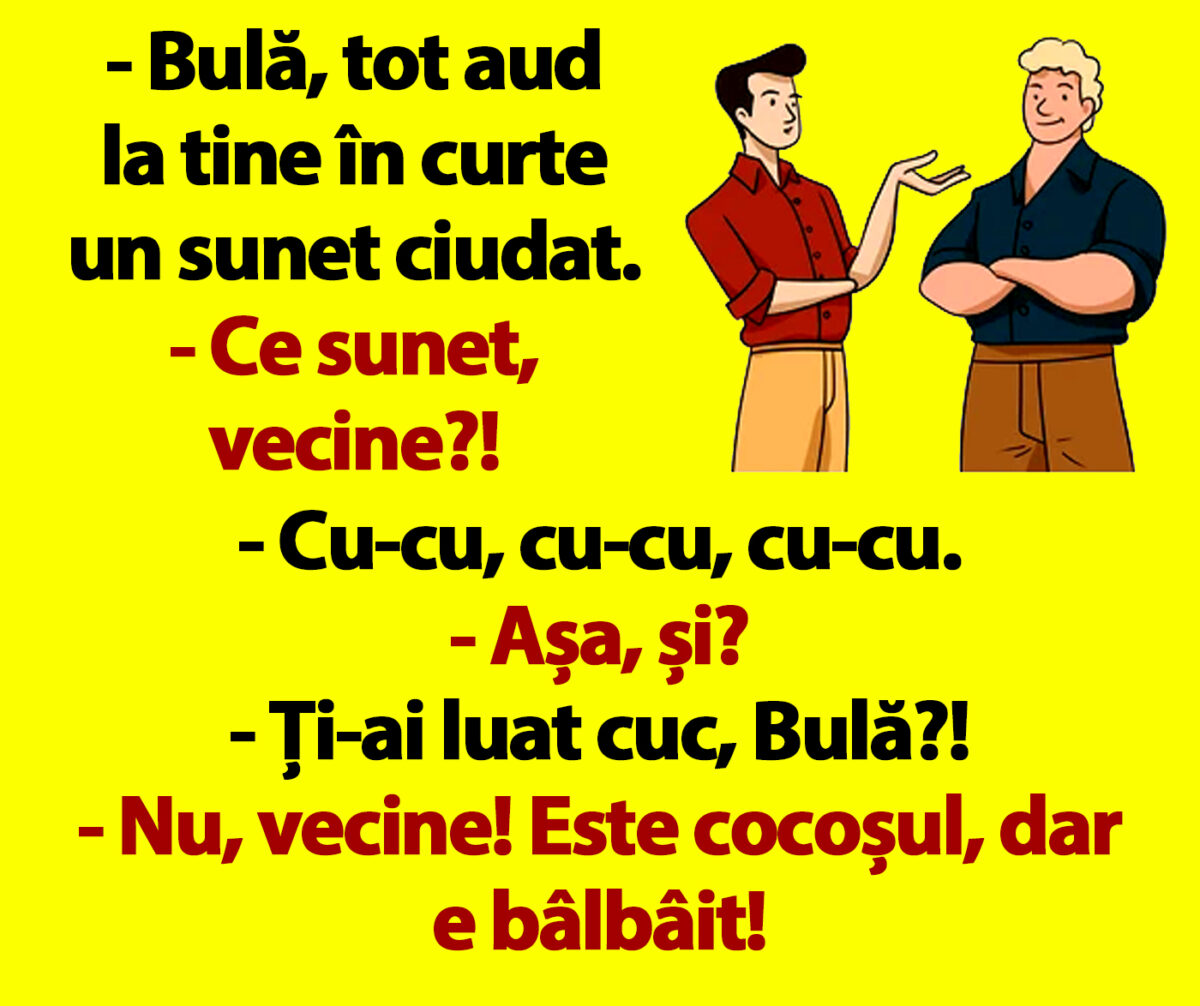 Povestea pensionarei din Constanța care se chinuie să trăiască în frig. A pierdut totul, dar asta nu a oprit-o