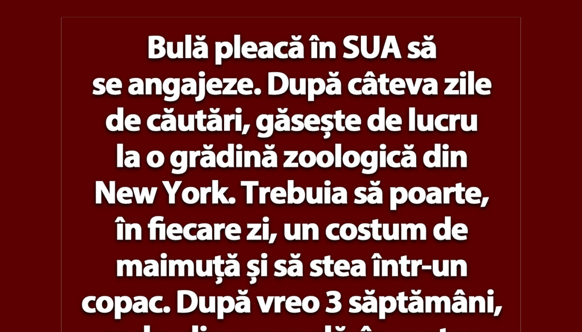 BANC | Bulă pleacă în SUA să se angajeze