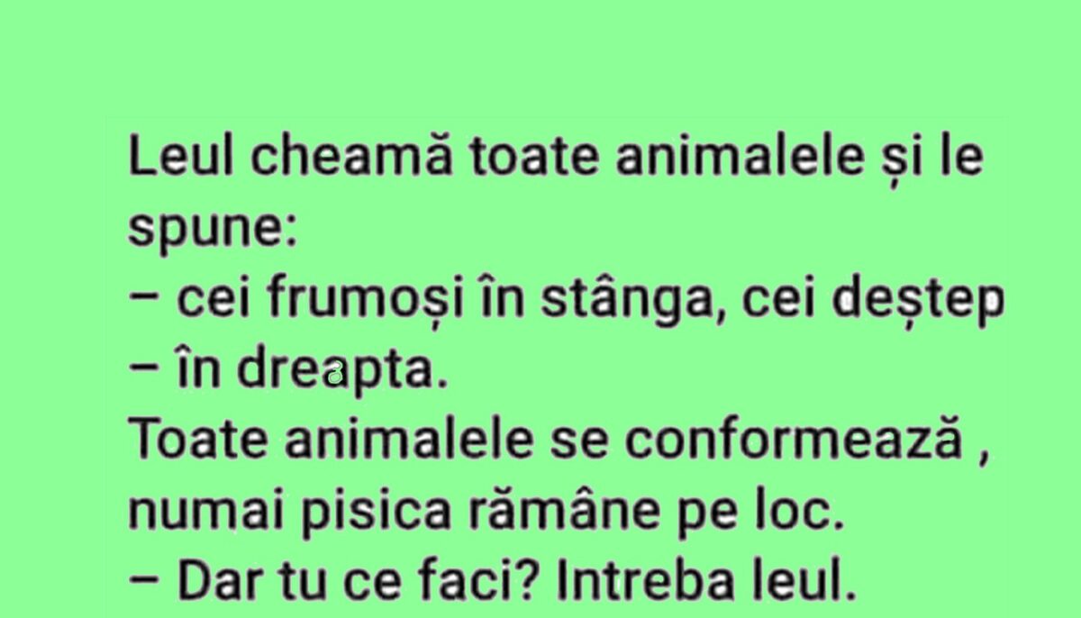 BANC | Leul cheamă toată animalele și le spune: „Cei frumoși – în stânga. Cei deștepți – în dreapta!”