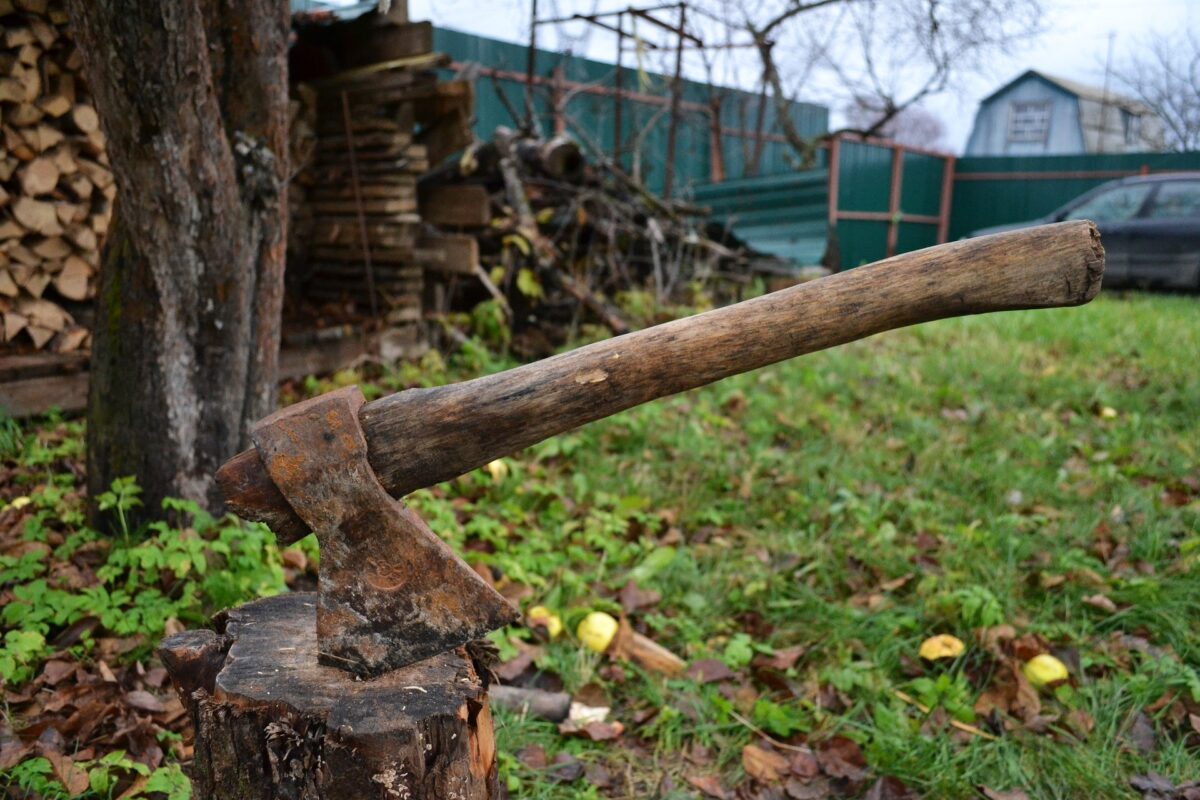 Românii care stau la curte riscă amenzi usturătoare! Ce nu au voie, de fapt, să facă în grădină