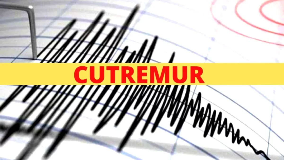 Cutremur în România, noaptea trecută! Ce magnitudine a avut seismul