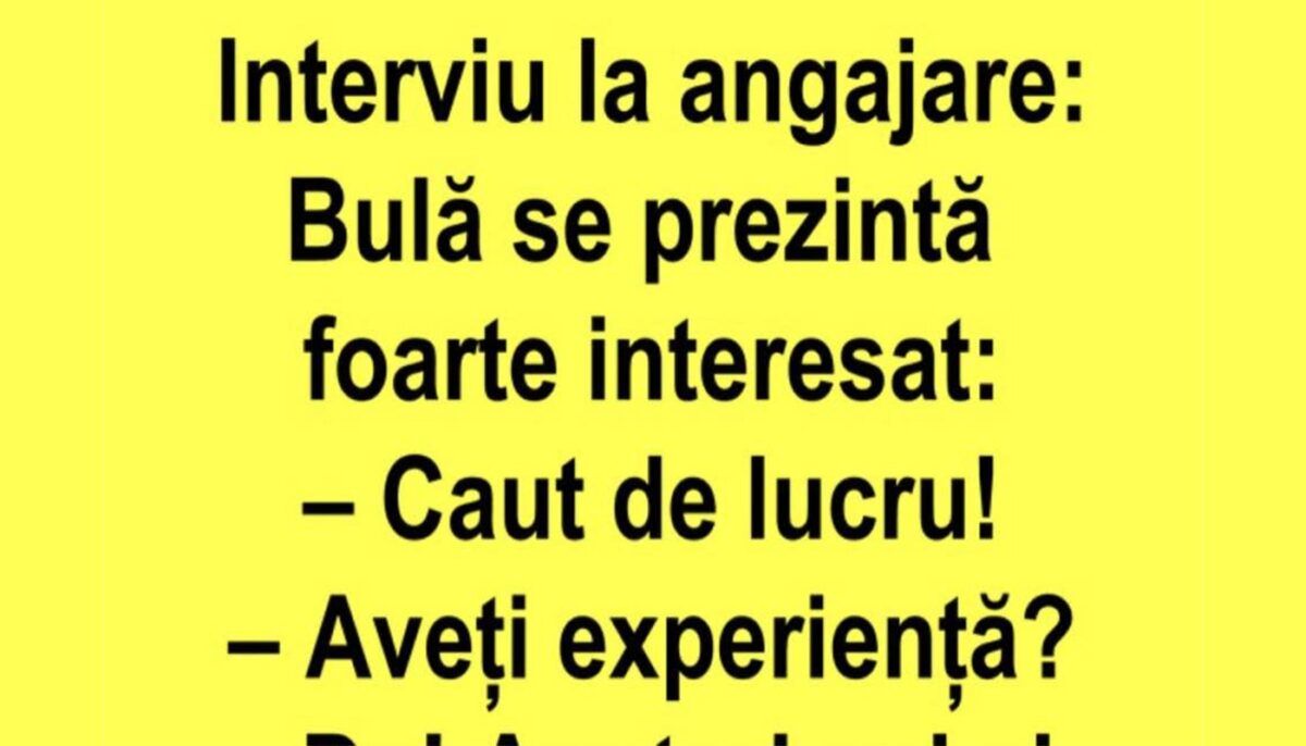 BANC | Bulă se prezintă la un interviu de angajare