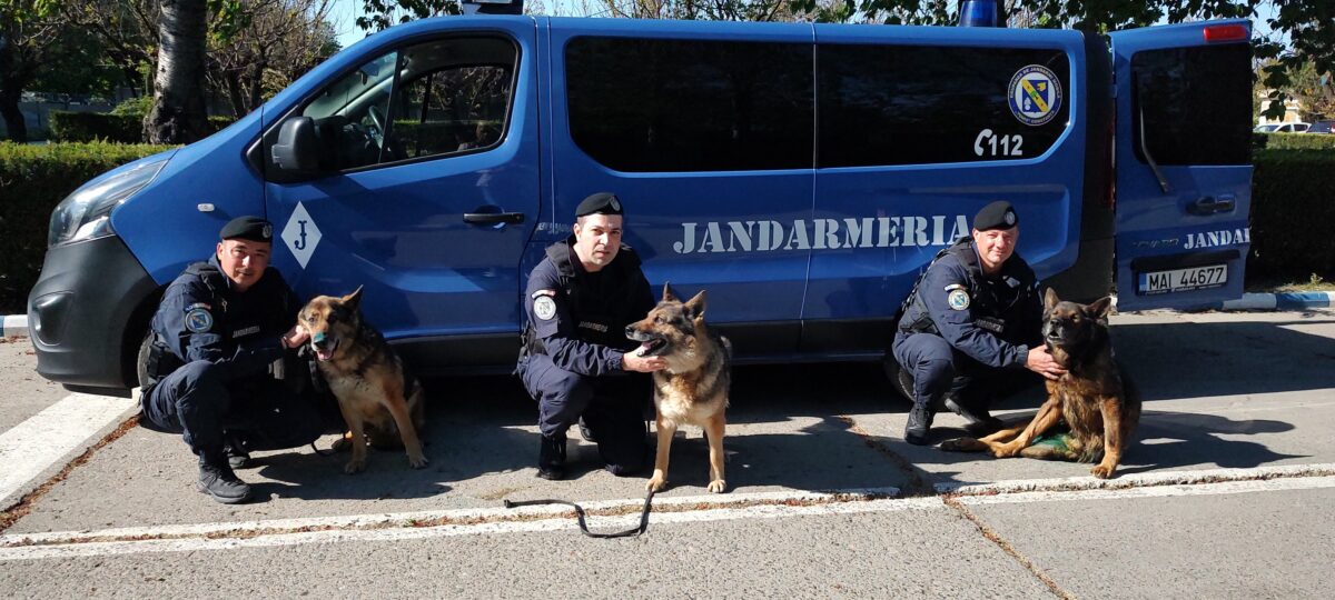 Trei câini jandarmi au ieșit la pensie după 13 ani de activitate: „Vă mulțumim pentru tot ce ați făcut pentru noi…pentru oameni!”