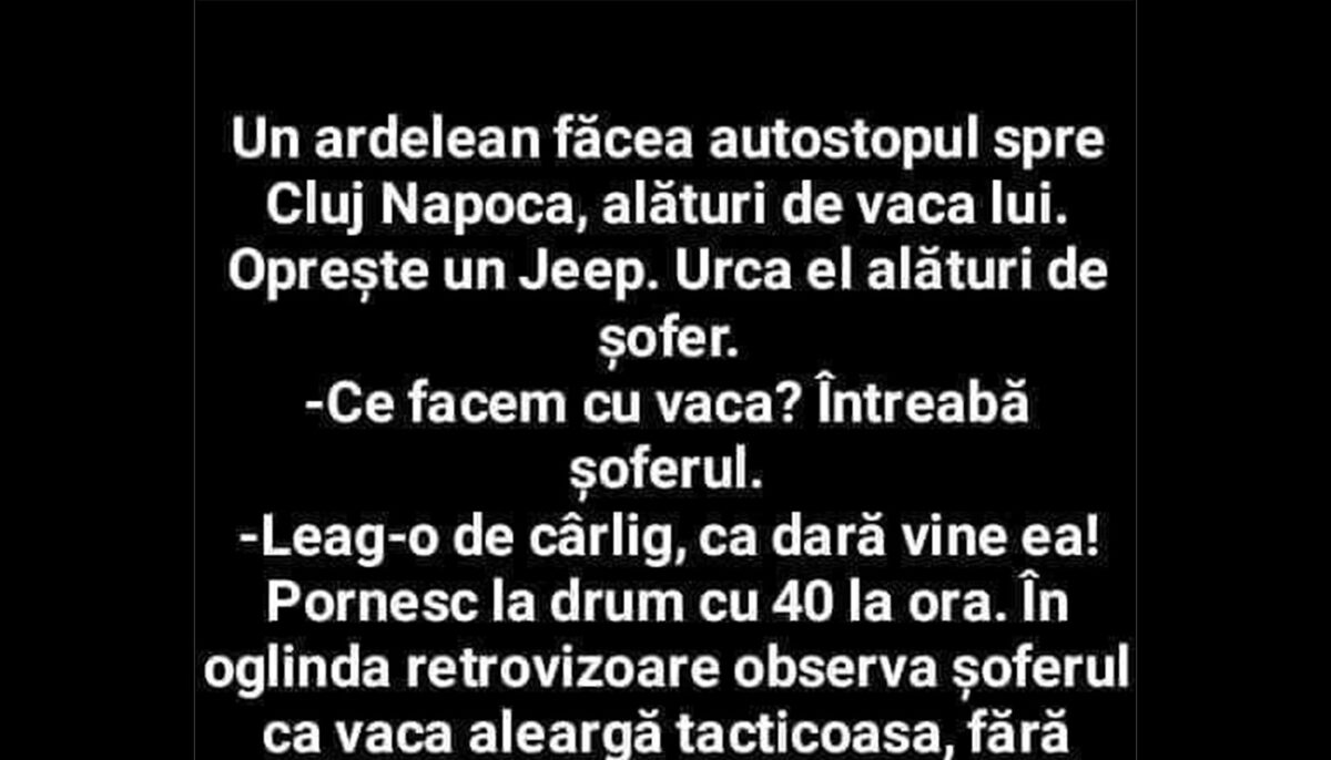 BANC | Un ardelean făcea autostopul spre Cluj-Napoca, alături de vaca lui