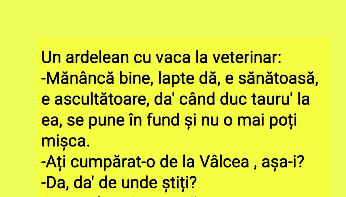 BANC | Un ardelean duce vaca la veterinar