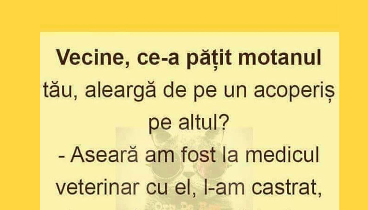 BANC | „Vecine, ce-a pățit motanul tău de aleargă de pe un acoperiș pe altul?”