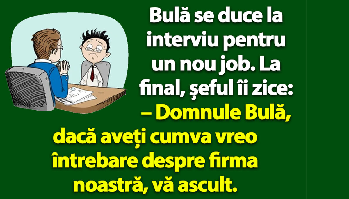 BANC | Bulă se duce la interviu pentru un nou job