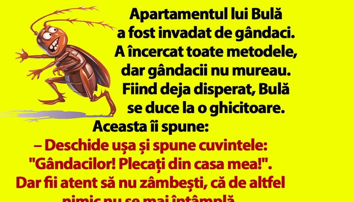 Bancul dimineții | Apartamentul lui Bulă a fost invadat de gândaci