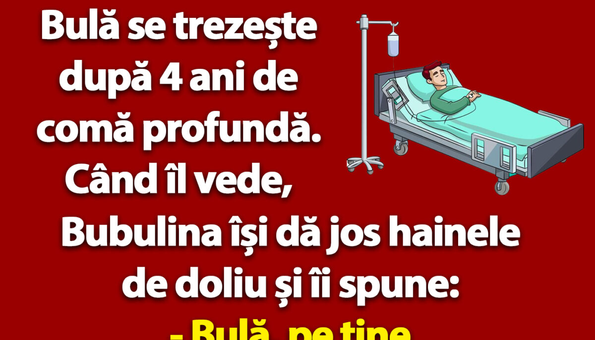 BANC | Bulă se trezește după 4 ani de comă profundă